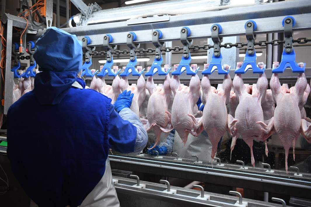 Правительство России отменило пошлины на ввоз куриного мяса
