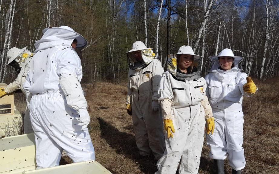 Профессии птицевода и пчеловода освоили школьники Якутии