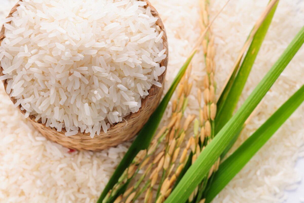 Кабмин продлил запрет на вывоз риса до 30 июня 2024 года