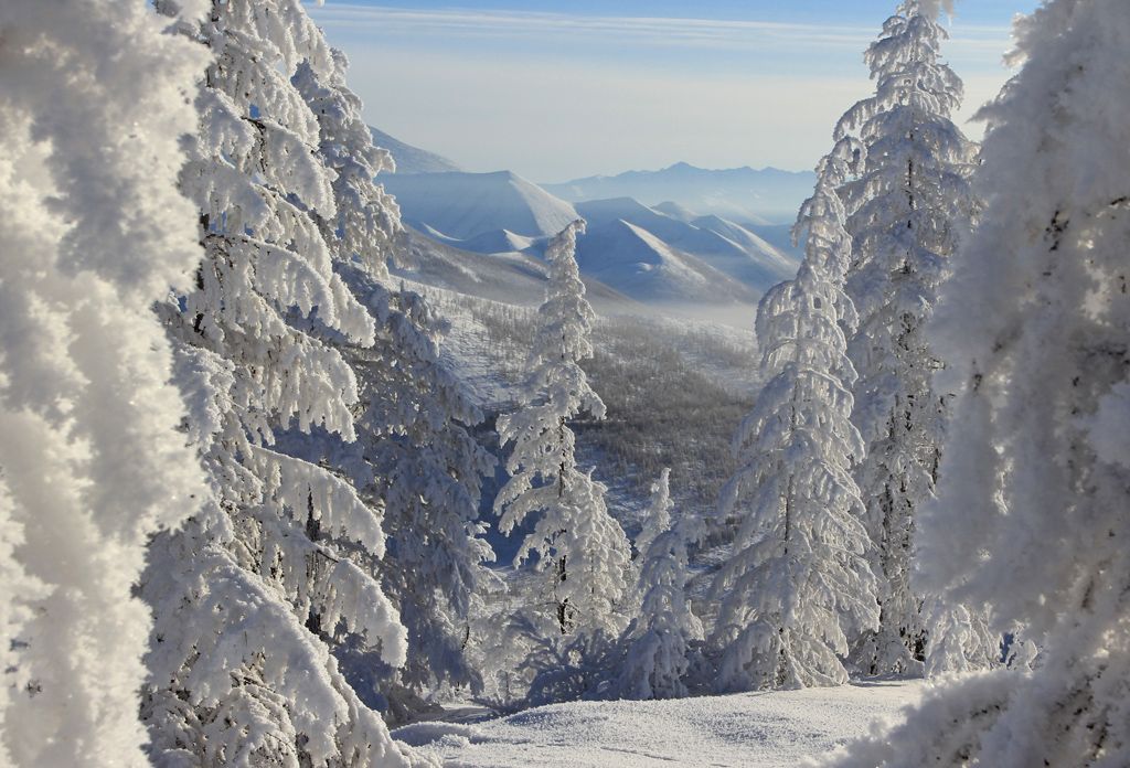 Небольшой снег прогнозируют 12 декабря в Якутии