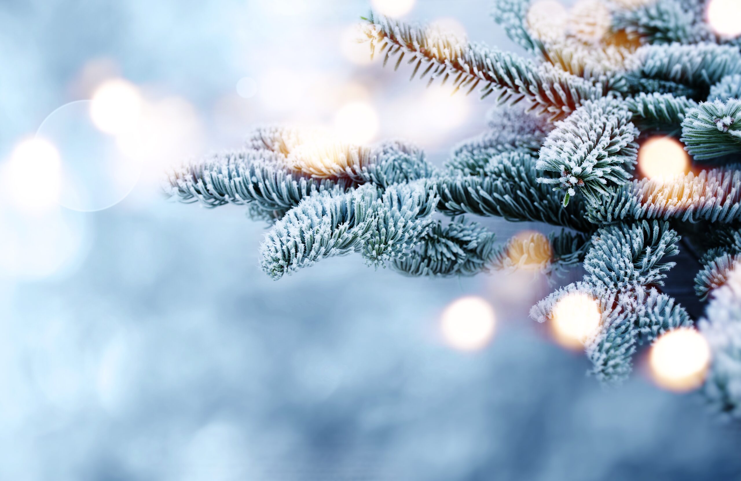 Синоптики прогнозируют похолодание в новогодние праздники