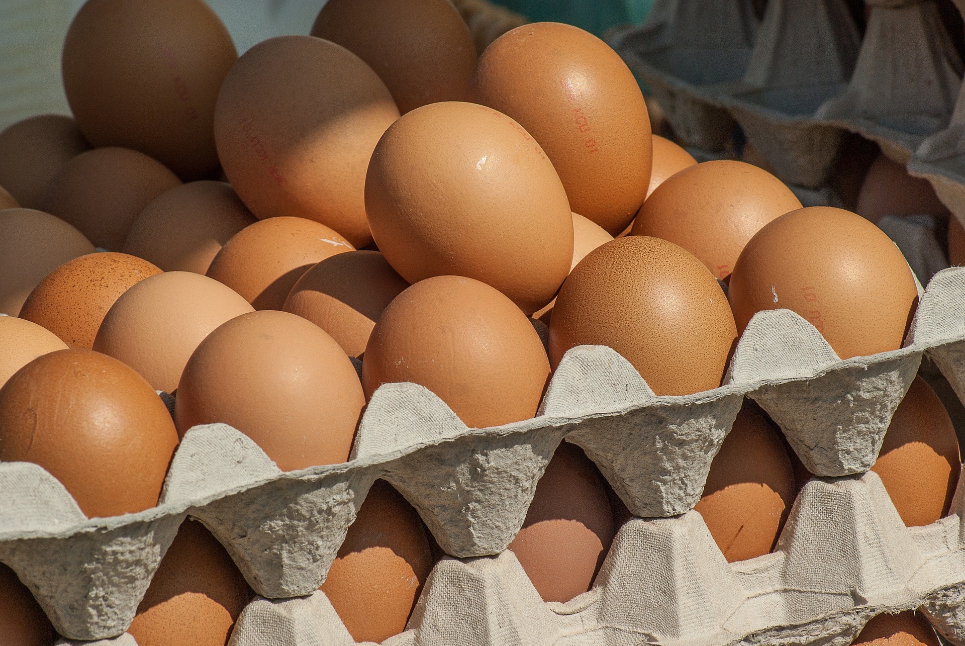 Куриные яйца подорожали на 15% в России в ноябре