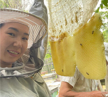 Победительница фестиваля «Муус устар — 2023» реализует проект по пчеловодству