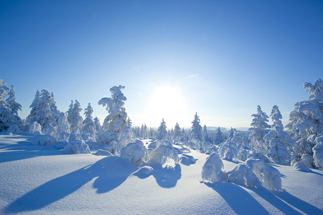 Нормы среднегодовой температуры воздуха возросли на 1,4°С в Якутии
