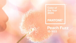 Pantone назвал цвет 2024 года
