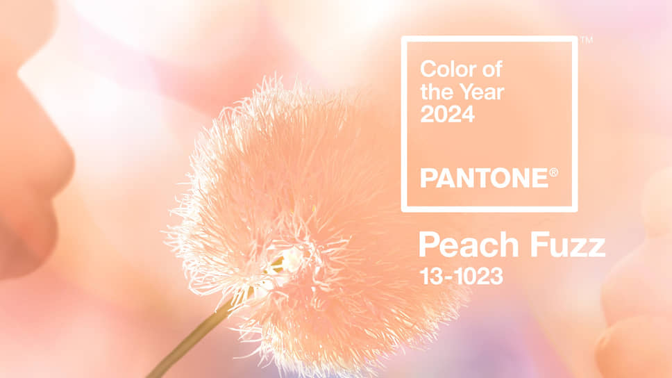 Цветом 2024 года по версии института Pantone стал оттенок персикового