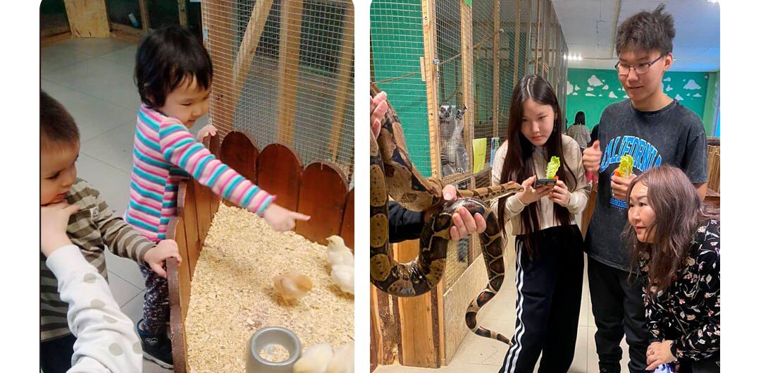 Бесплатное посещение контактного зоопарка в Якутске организовали для детей участников СВО