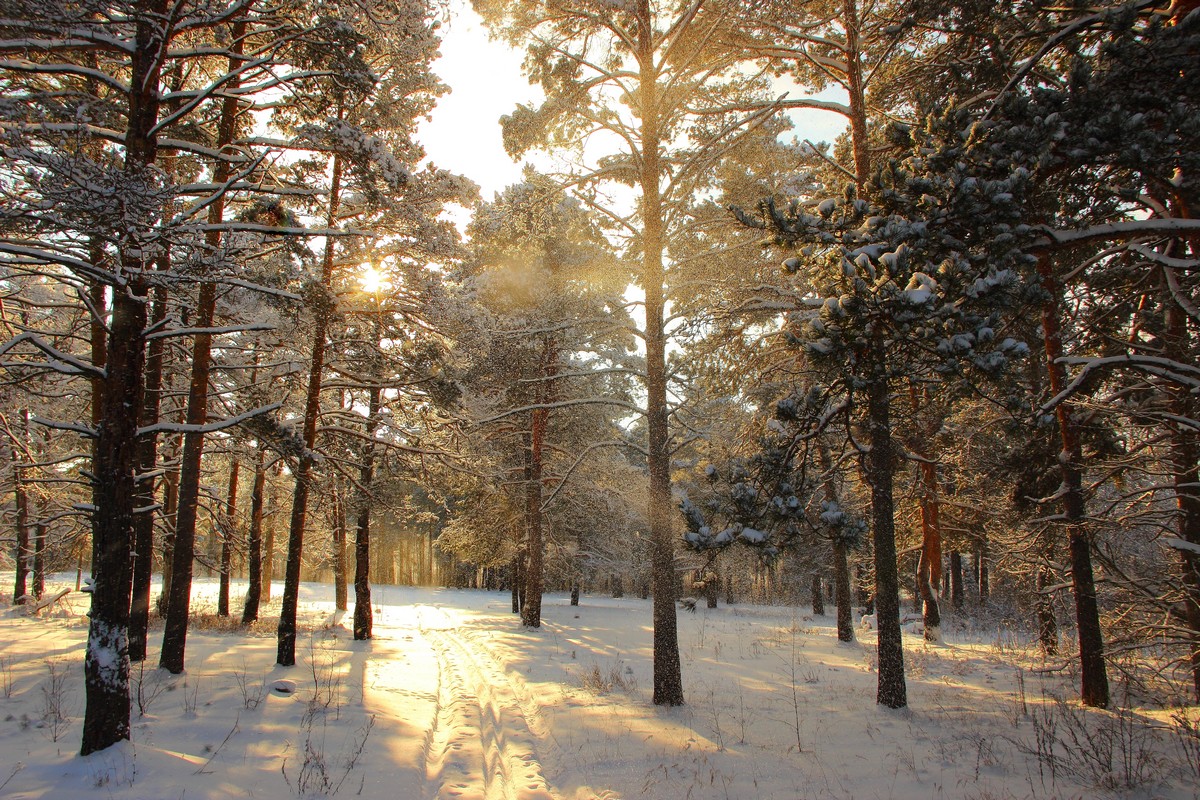 Синоптики прогнозируют снег на большей территории Якутии