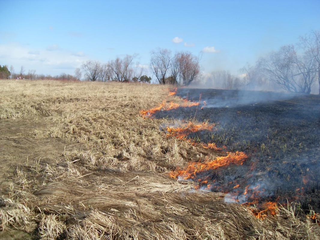Запрет на выжигание сухой травы действует на территории Якутска