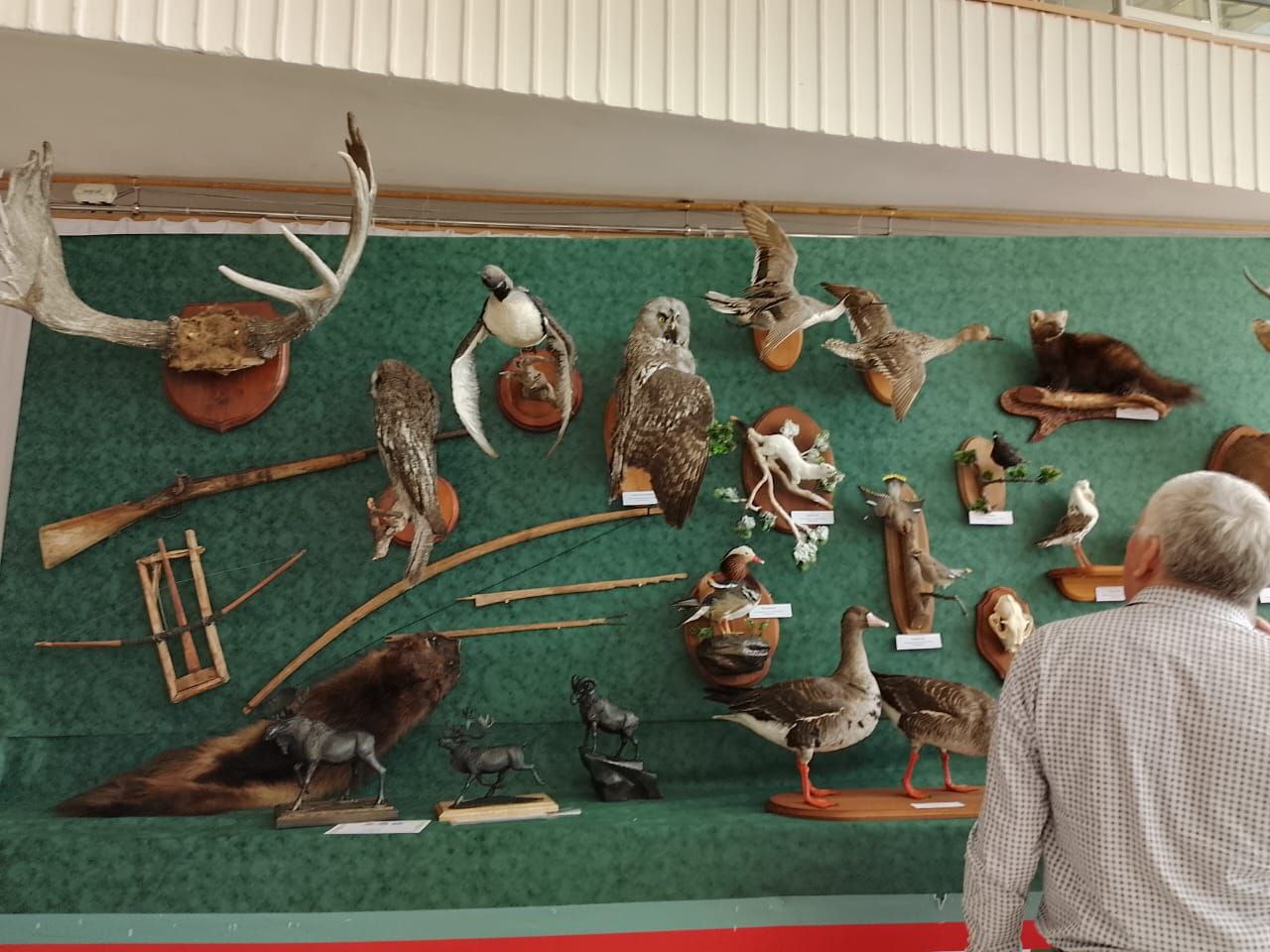 Выставка «Охота и охотничьи традиции» открылась в Якутске