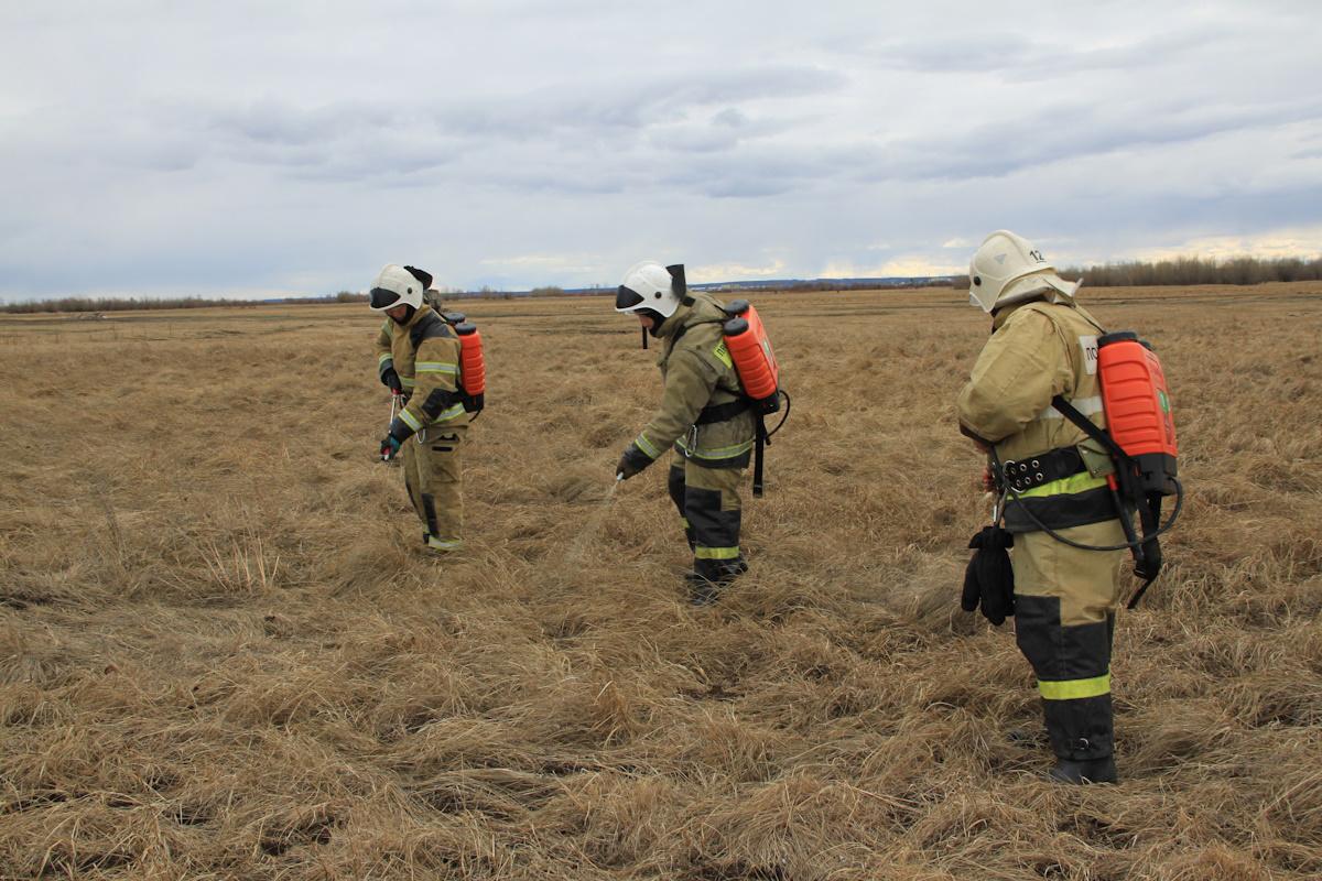 Испытания антипиренов для борьбы с ландшафтными пожарами провели в Якутии