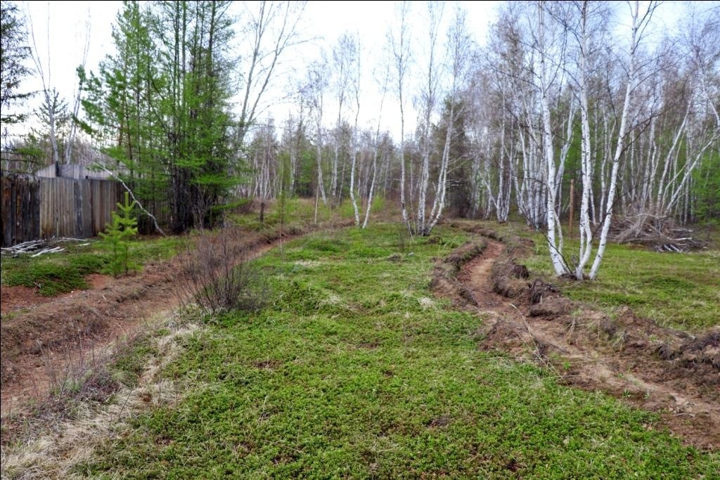 Эксперты: Режим ЧС федерального уровня поможет Якутии в тушении лесных пожаров