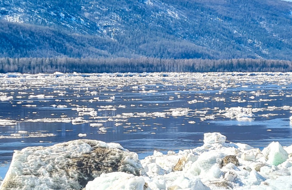 Максимум паводка сформировался на участке реки Лены Витим — Пеледуй в Якутии