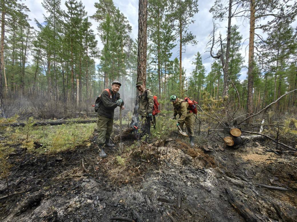 Поощрение назначают якутянам, оказавшим помощь в выявлении виновников лесных пожаров