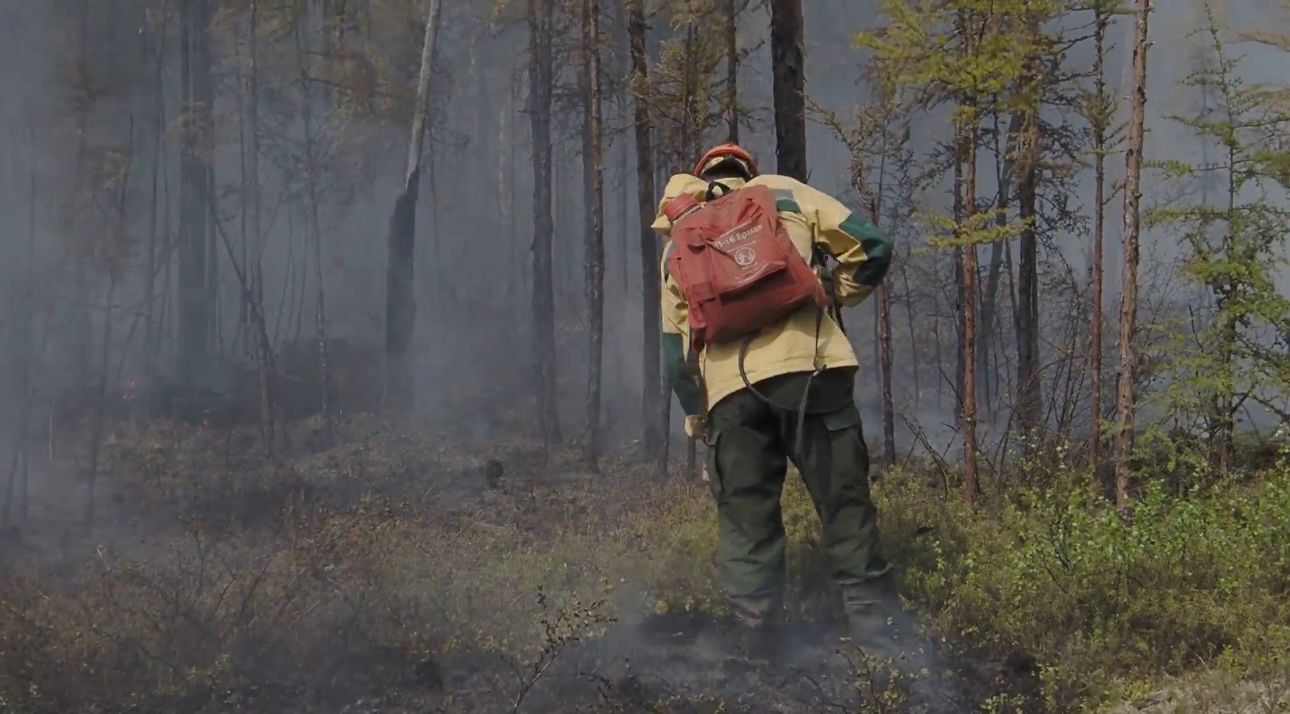 Более 1200 человек тушат пожары в Якутии