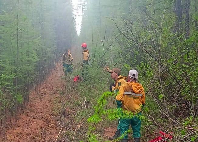 Десять природных пожаров ликвидировали в Якутии за сутки