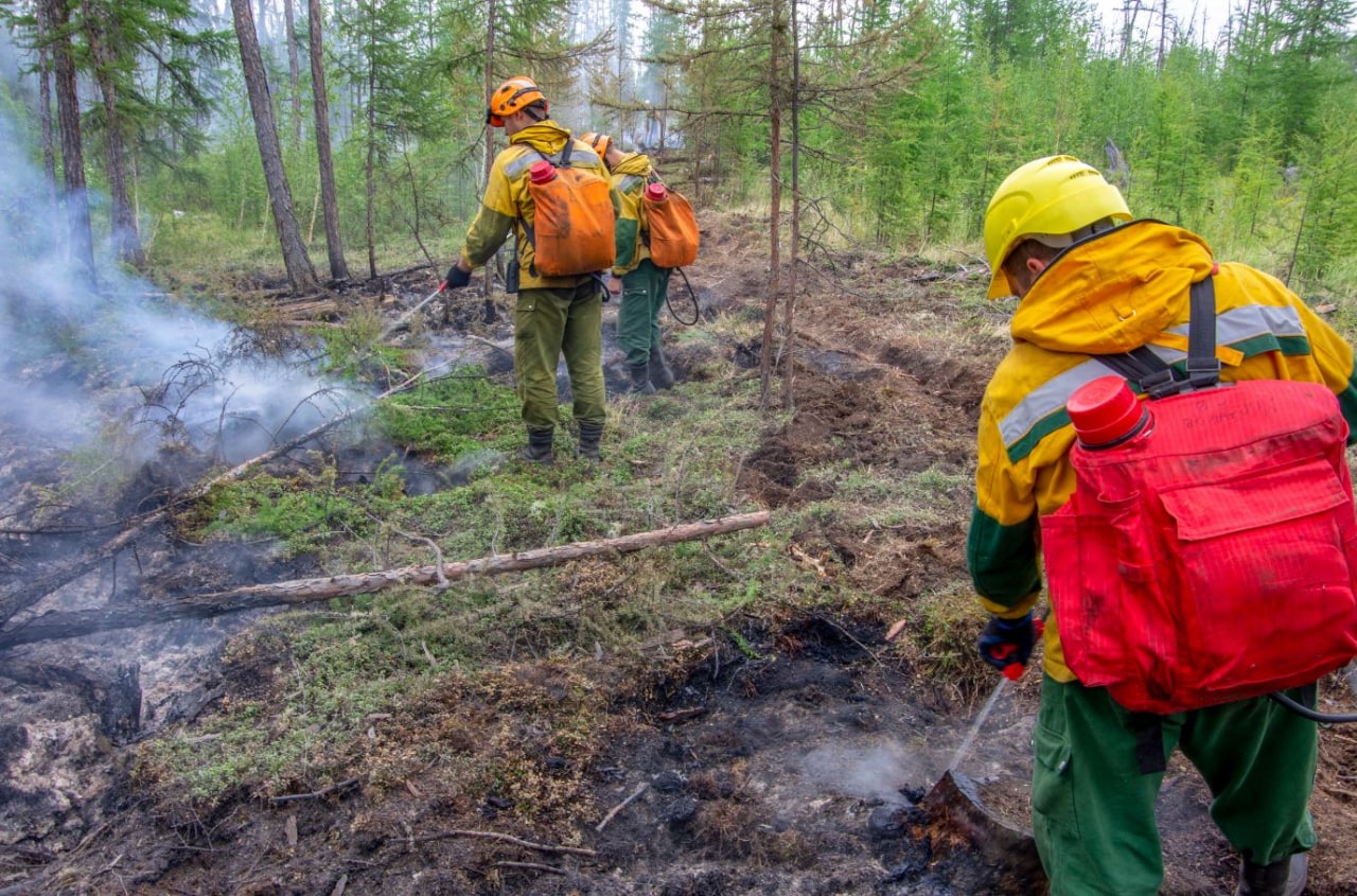 Более 600 профессиональных огнеборцев тушат лесные пожары в Якутии