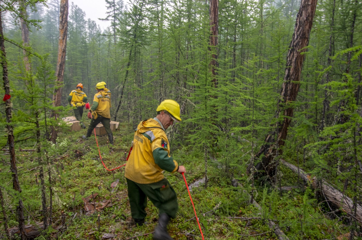 Более 70 лесных пожаров ликвидировали с начала пожароопасного сезона в Якутии