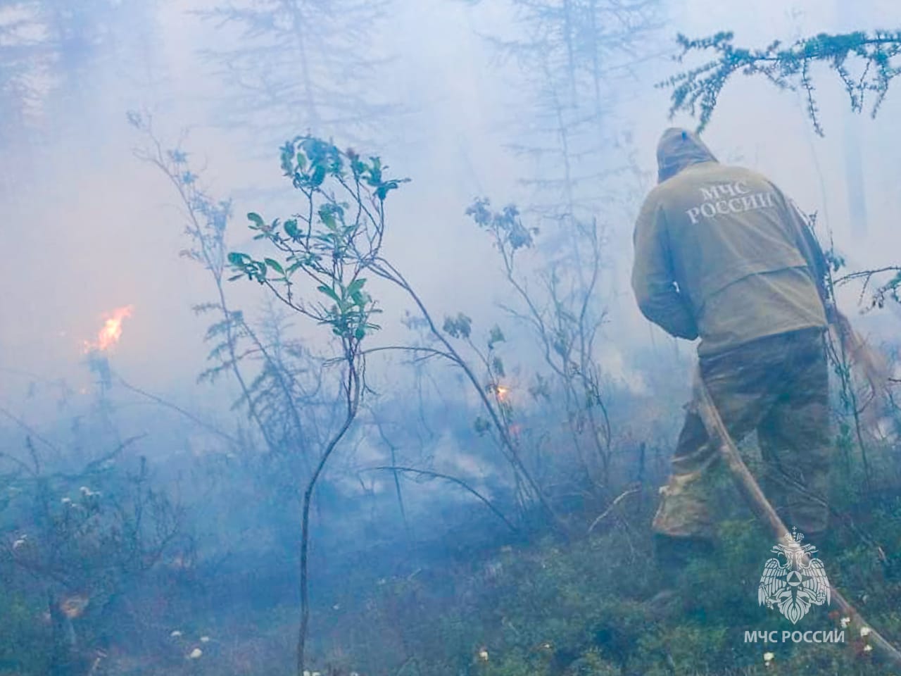 Порядка 20 лесных пожаров потушили в Якутии за сутки