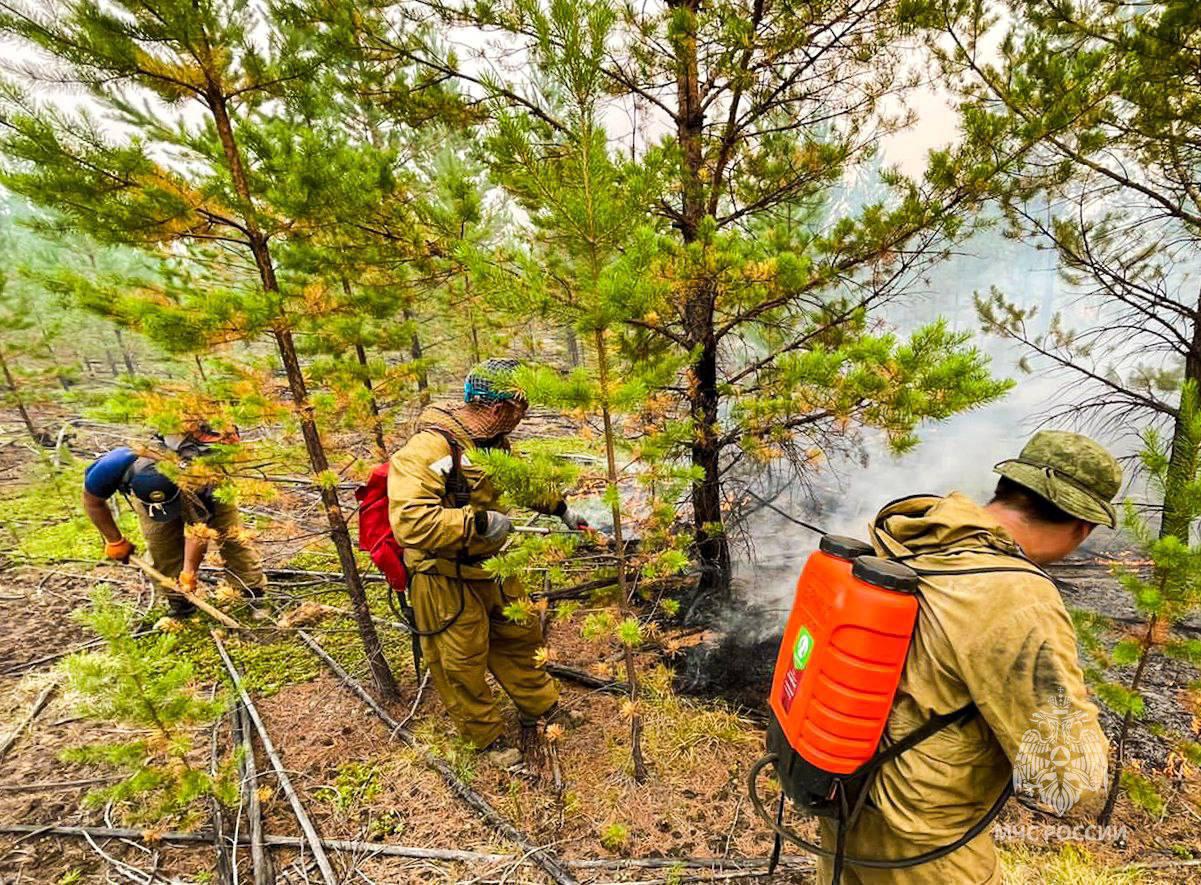 Дожди прошли почти на всех лесных пожарах Олекминского района