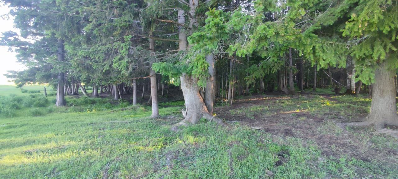 Ребенок потерялся в Мегино-Кангаласском районе