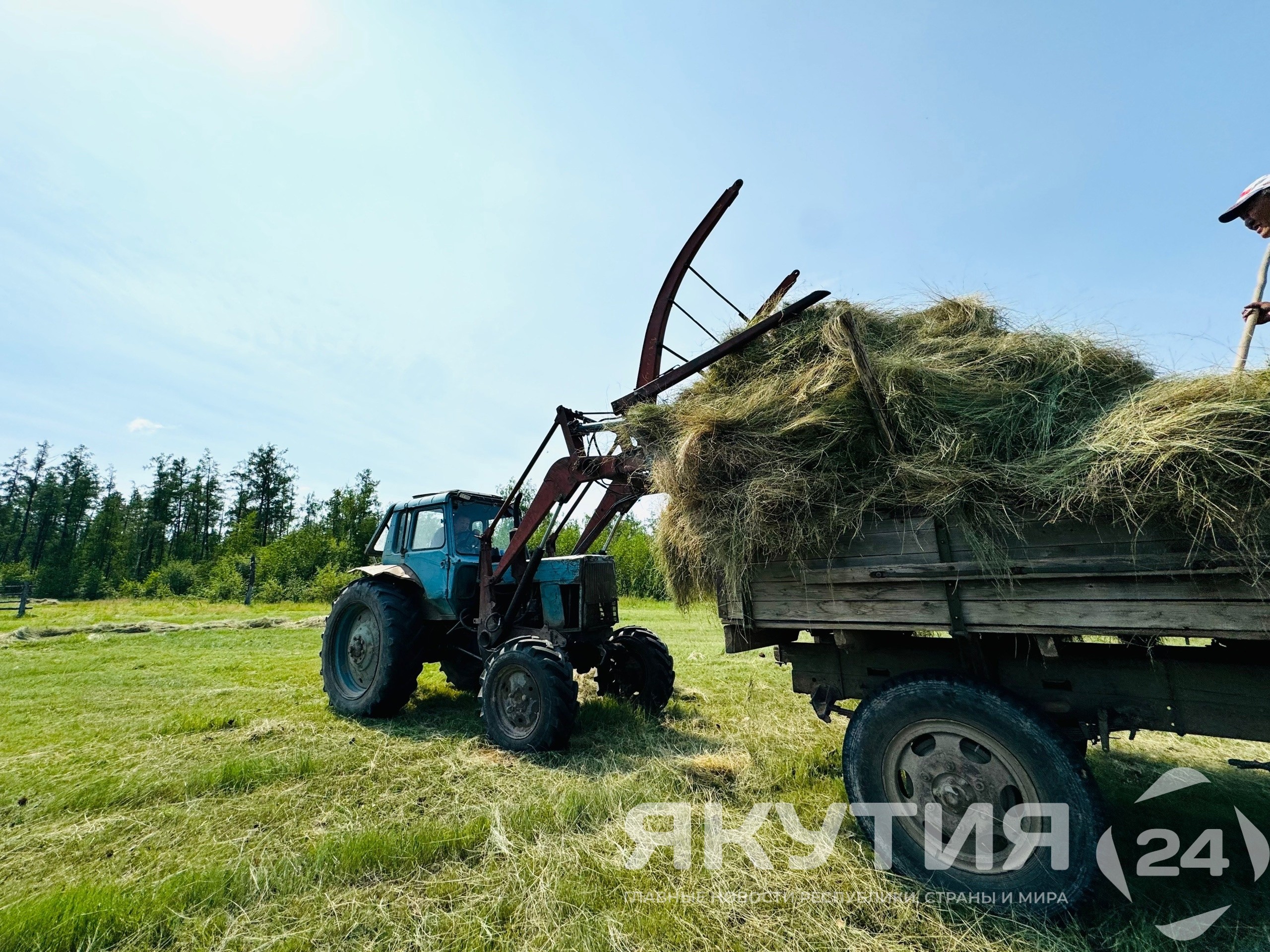 Более 24 тысяч человек участвуют в сенокосной компании в Якутии