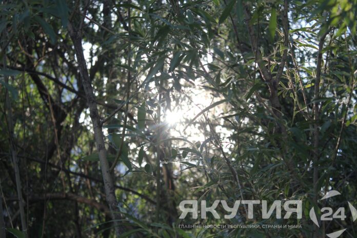 Якутия Айсен Николаев Республика Саха (Якутия) Якутия Айсен Николаев Республика Саха (Якутия) Якутия Айсен Николаев Республика Саха (Якутия) Якутия Айсен Николаев Республика Саха (Якутия) Якутия Айсен Николаев Республика Саха (Якутия) Якутия Айсен Николаев Республика Саха (Якутия) Якутия Айсен Николаев Республика Саха (Якутия) Якутия Айсен Николаев Республика Саха (Якутия) Якутия Айсен Николаев Республика Саха (Якутия) Якутия Айсен Николаев Республика Саха (Якутия) Якутия Айсен Николаев Республика Саха (Якутия) Якутия Айсен Николаев Республика Саха (Якутия) Якутия Айсен Николаев Республика Саха (Якутия) Якутия Айсен Николаев Республика Саха (Якутия) Якутия Айсен Николаев Республика Саха (Якутия) Якутия Айсен Николаев Республика Саха (Якутия) Якутия Айсен Николаев Республика Саха (Якутия) Якутия Айсен Николаев Республика Саха (Якутия) Якутия Айсен Николаев Республика Саха (Якутия) Якутия Айсен Николаев Республика Саха (Якутия) Якутия Айсен Николаев Республика Саха (Якутия) Якутия Айсен Николаев Республика Саха (Якутия) Якутия Айсен Николаев Республика Саха (Якутия) Якутия Айсен Николаев Республика Саха (Якутия) Якутия Айсен Николаев Республика Саха (Якутия)